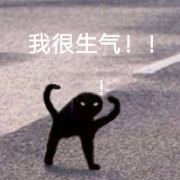 坡下一只鹅