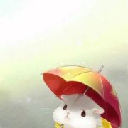 栀夏北巷