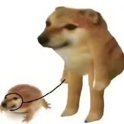 nd_my