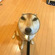 望了个川