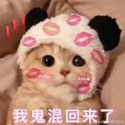山隐水迢202105