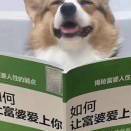 张狗蛋er201203
