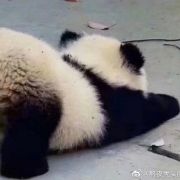 真就特么离谱