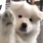 暮色四合Sarch