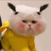 偏偏喜欢马嘉祺A