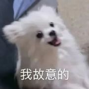 药店不卖小可爱