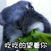 我叫李鑫怡