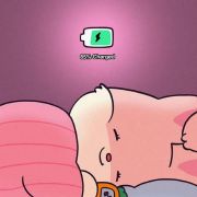 在路上的小小兔子