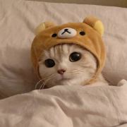 命唳1