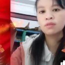 童南菊