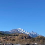 菁菁的旅途