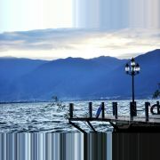 草样年华3621