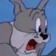 互联网dog才玩