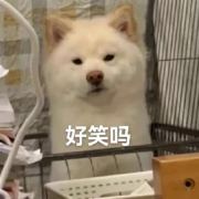 嫑当社畜