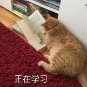 时初2002