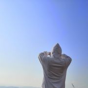 枸杞红枣棒棒糖