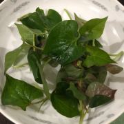 白夜休休的沈先森