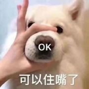 人生不值得啊