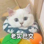不知名57