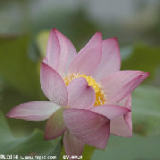 千山万水237