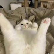 村口翠花酱