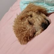 不是冤种不再摆烂