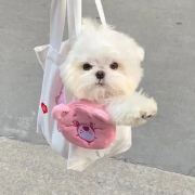 半颗西柚berry