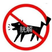 春梅电闪雷鸣