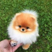 西西923883298423561