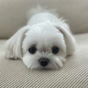 宁宁今天也要早睡