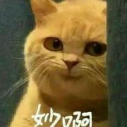 陈户户_