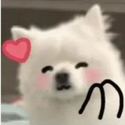 伊蕾娜TvT