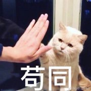 去去去_92066