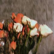 同張敬平見面帶上鮮花