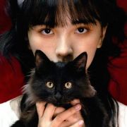 给猫织毛衣--