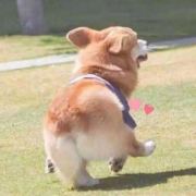 哈哈每一天200602