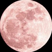 错金金会发光