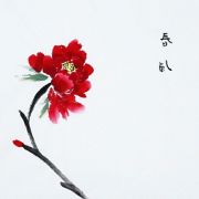 明媚舒畅