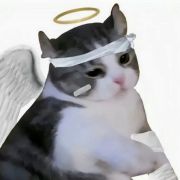丫琦yq