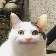 urrotiurdr