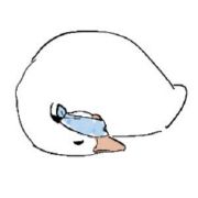 今眠夜行歌