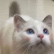 红色求和