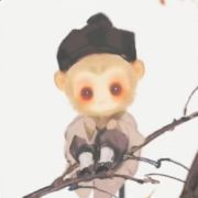 凤里有故事zjx