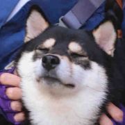 不会画画的DFeng