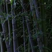所谓的所谓1218