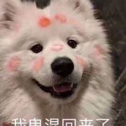 再让我吃一次关东煮