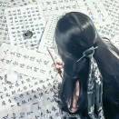 苳懂