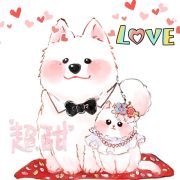可爱水果小橘子