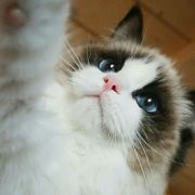 HaNi_iNaH