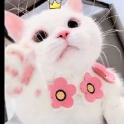 蜂蜜柚子Nie
